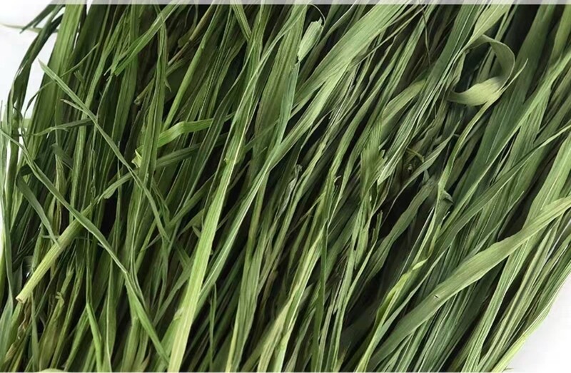 Oat Hay 200g