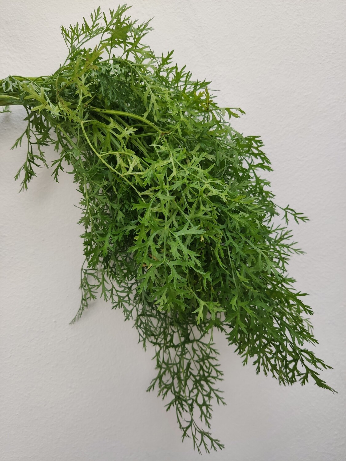 (Freshly Harvest-On-Demand) Carrot Tops - 200g