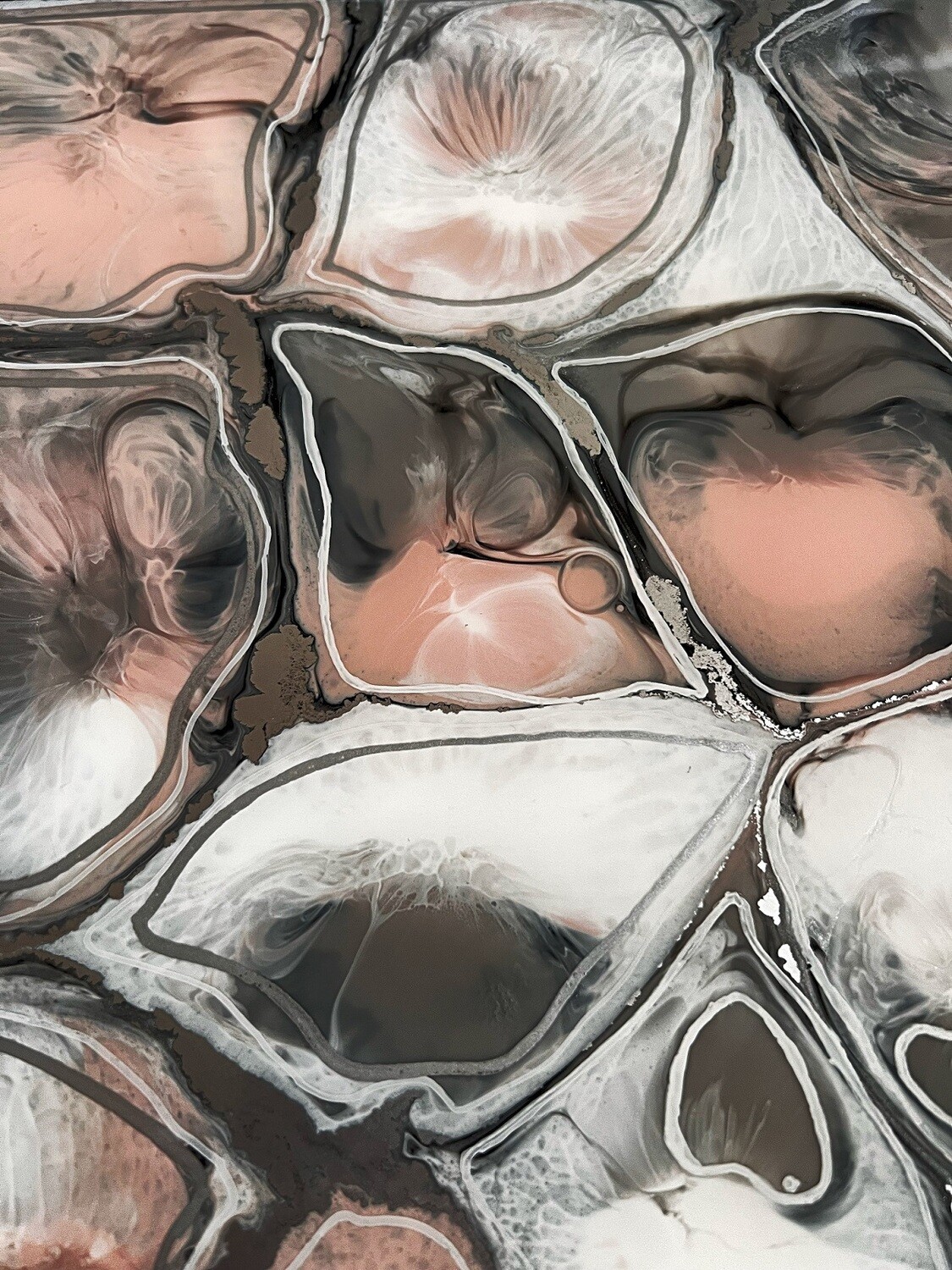 Multi Colour Resin tray