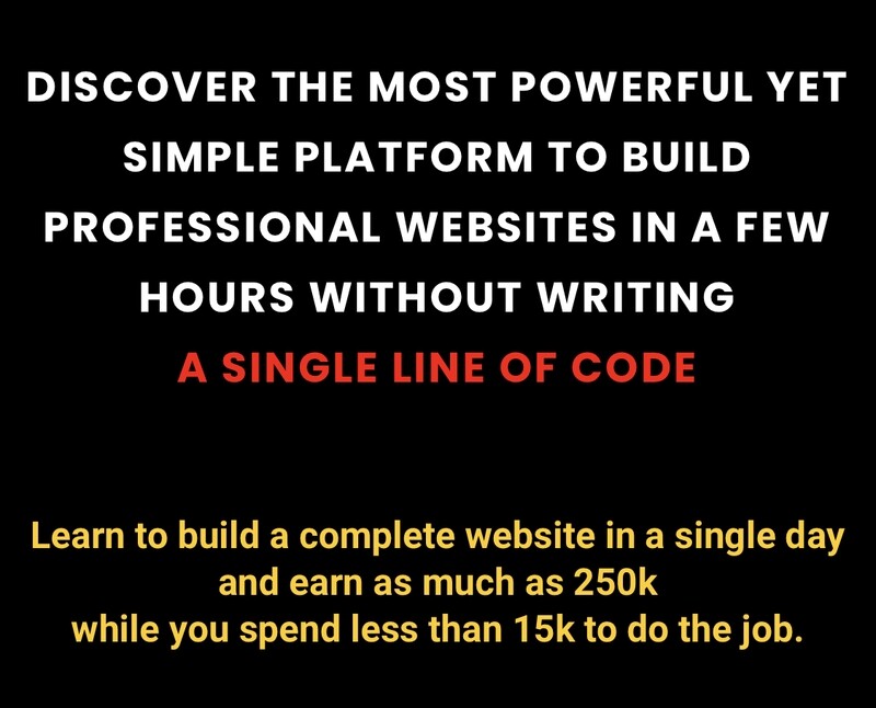 BUILD A PROFESSIONAL WEBSITE IN 3 DAYS