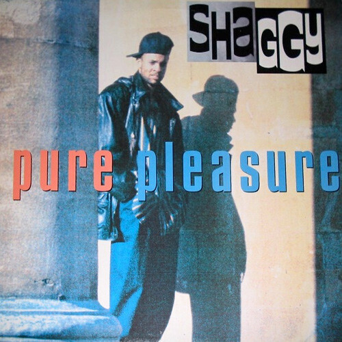 Shaggy – Pure Pleasure