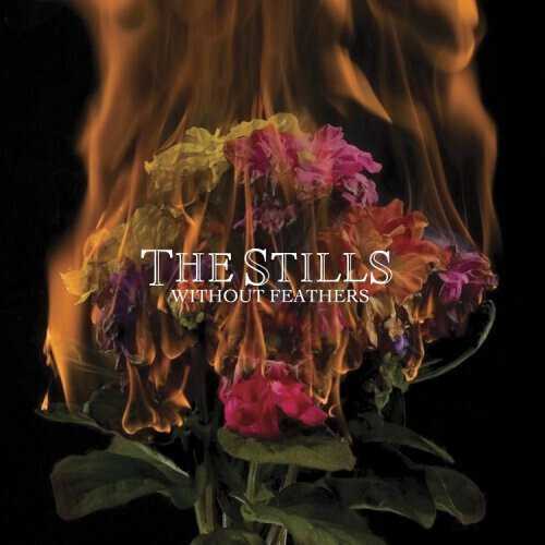 The Stills – Without Feathers