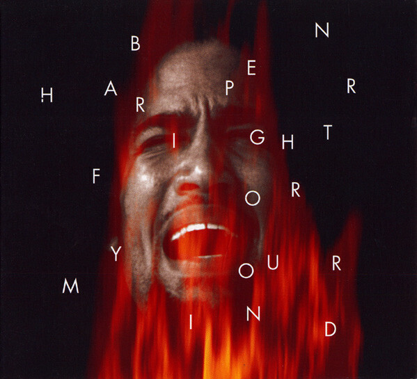 Ben Harper – Fight For Your Mind