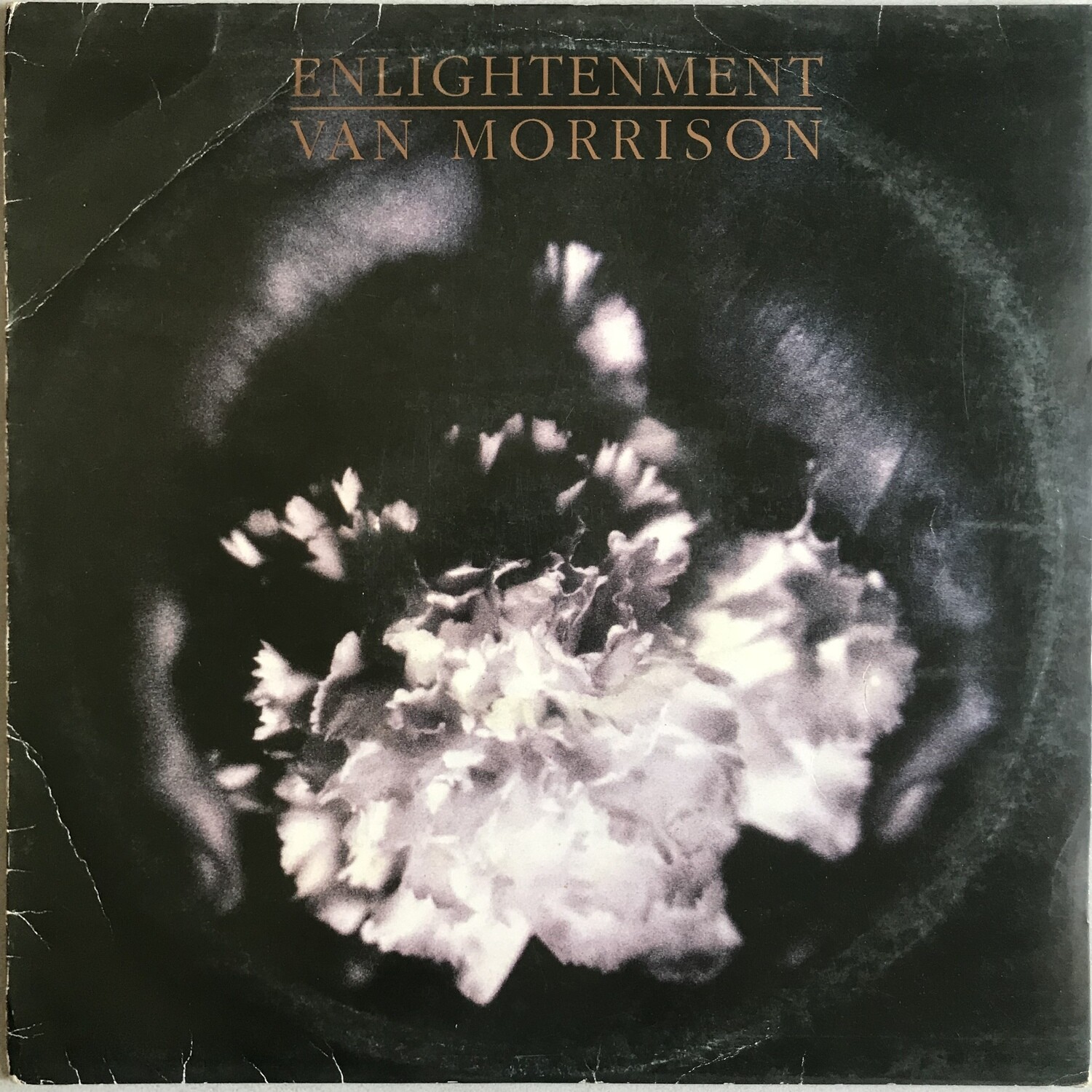 Van Morrison – Enlightenment