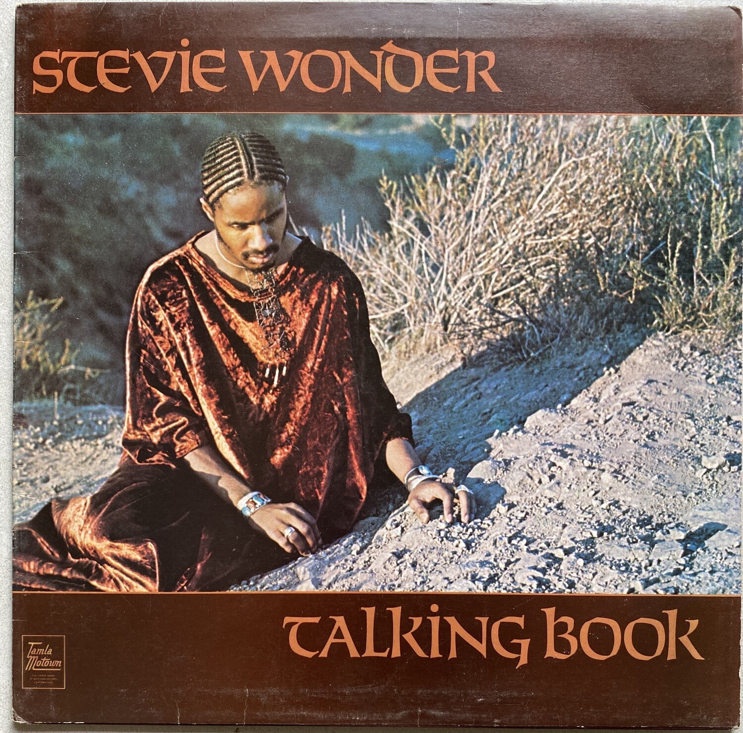 Stevie Wonder – Talking Book (Vinyl)