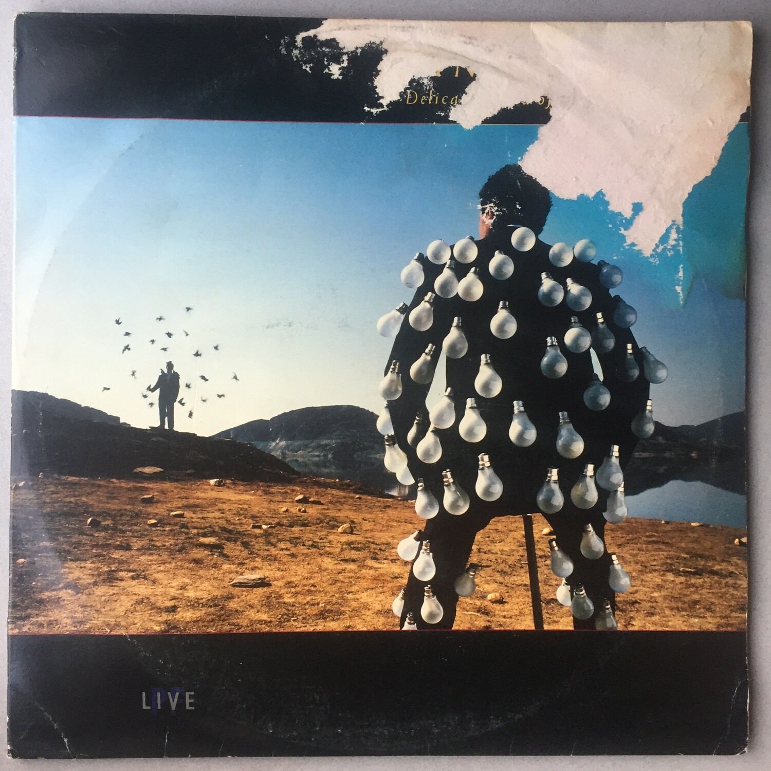 Pink Floyd – Delicate Sound Of Thunder (2LP Set)