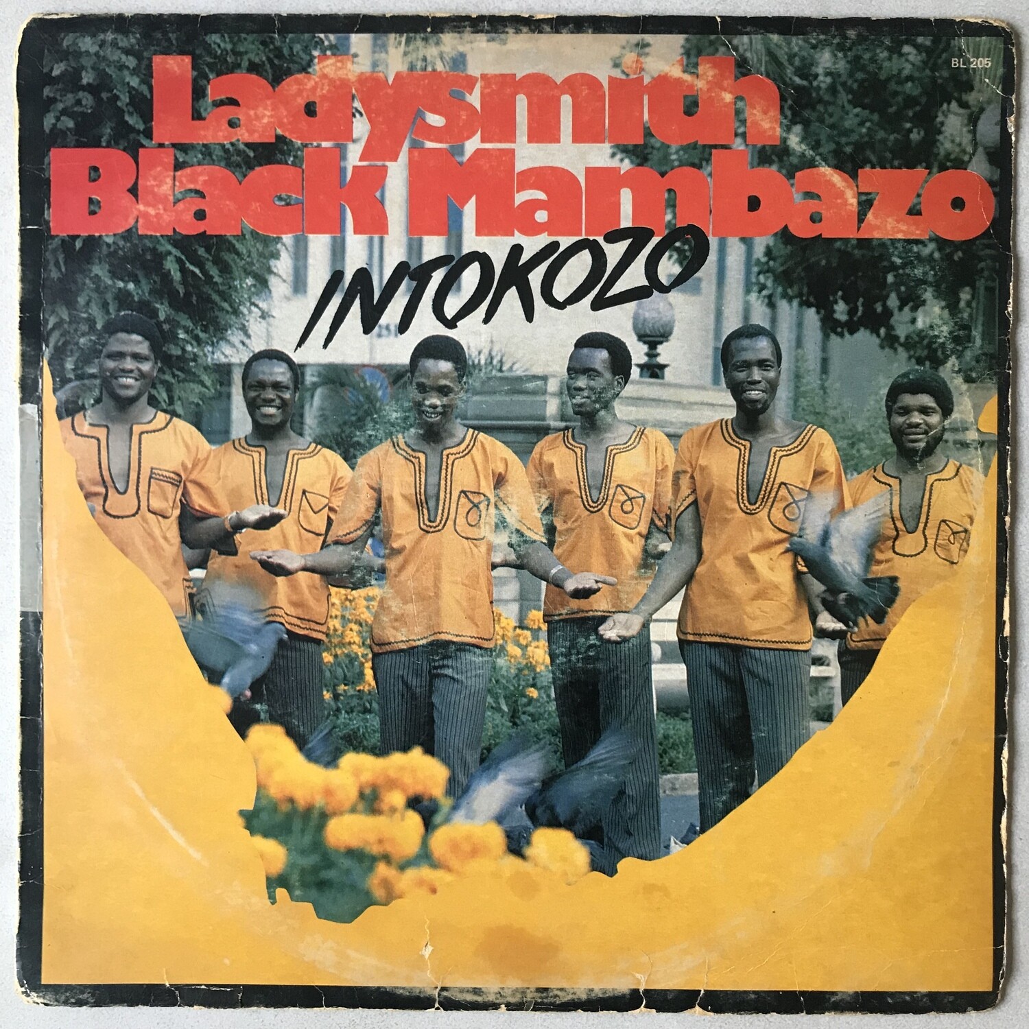 Ladysmith Black Mambazo – Intokozo