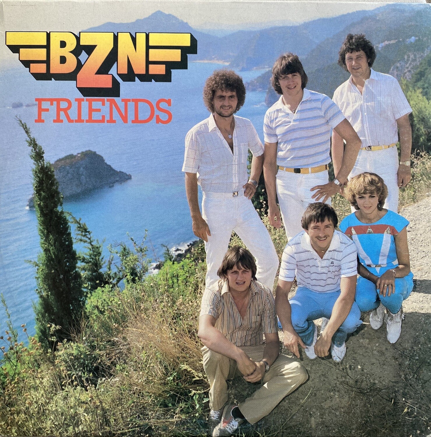 BZN – Friends Vinyl)