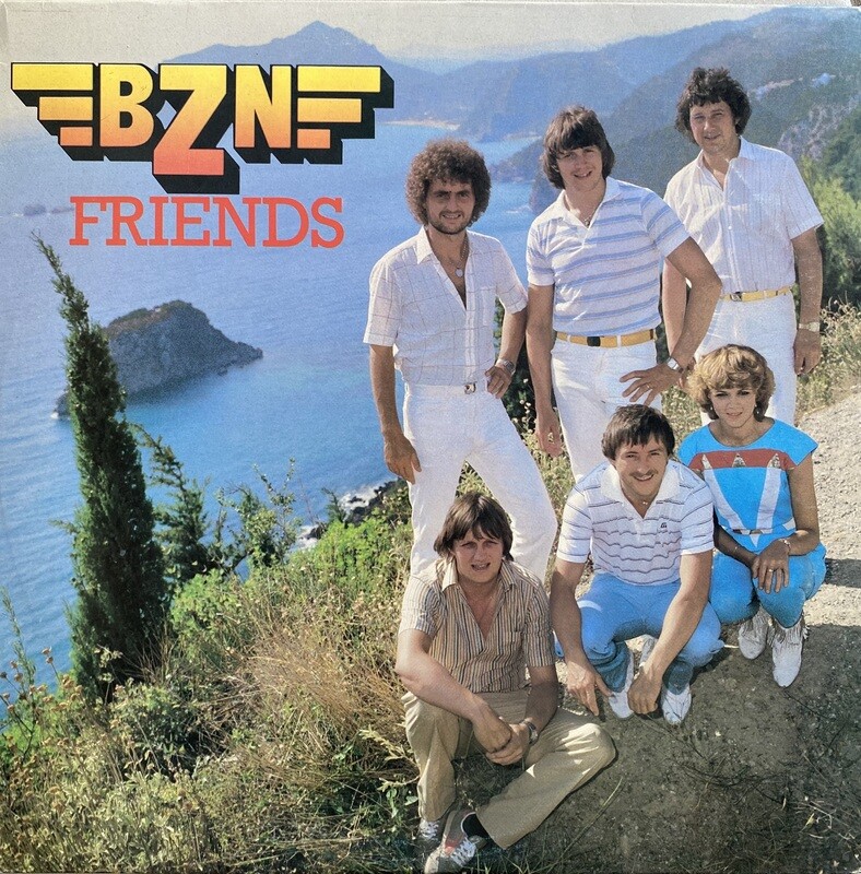 BZN – Friends Vinyl)