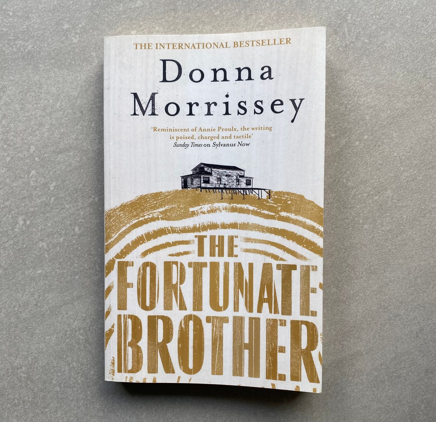 The Fortunate Brother - Donna Morrissey (Book)
