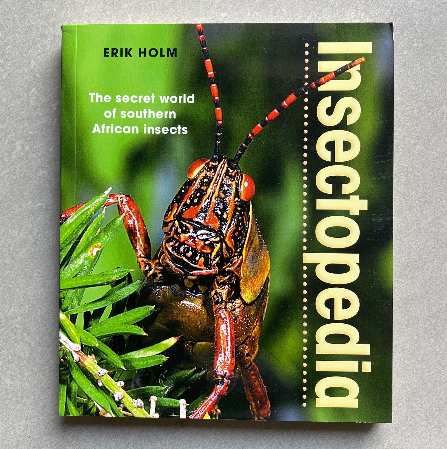 Insectopedia: The Secret World of Southern African Insects - Erik Holm (Book)