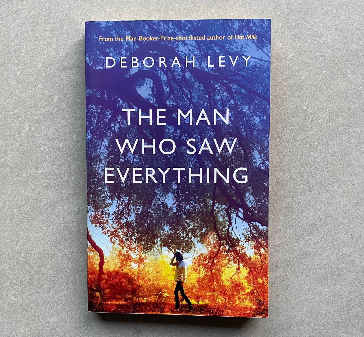 The Man Who Saw Everything - Deborah Levy (Book)