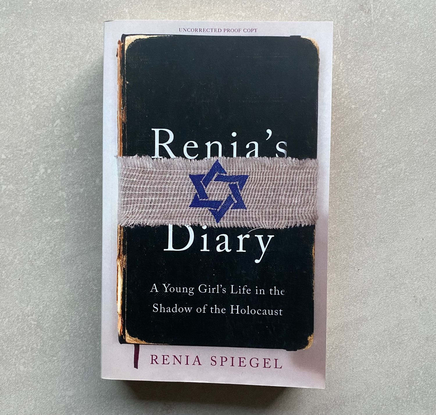 Renia’s Diary: A Young Girl’s Life in the Shadow of the Holocaust - Renia Spiegel (Book)