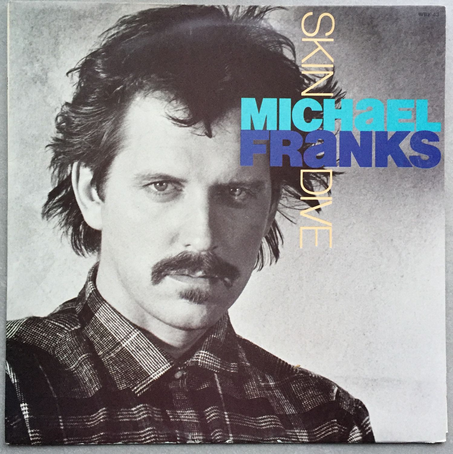 Michael Franks – Skin Dive (Vinyl)