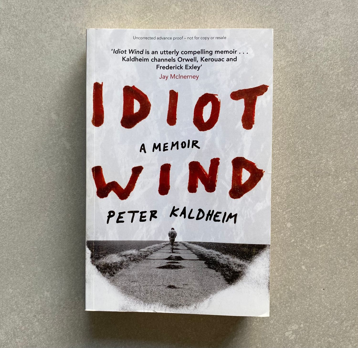 Idiot Wind: A Memoir - Peter Kaldheim (Book)