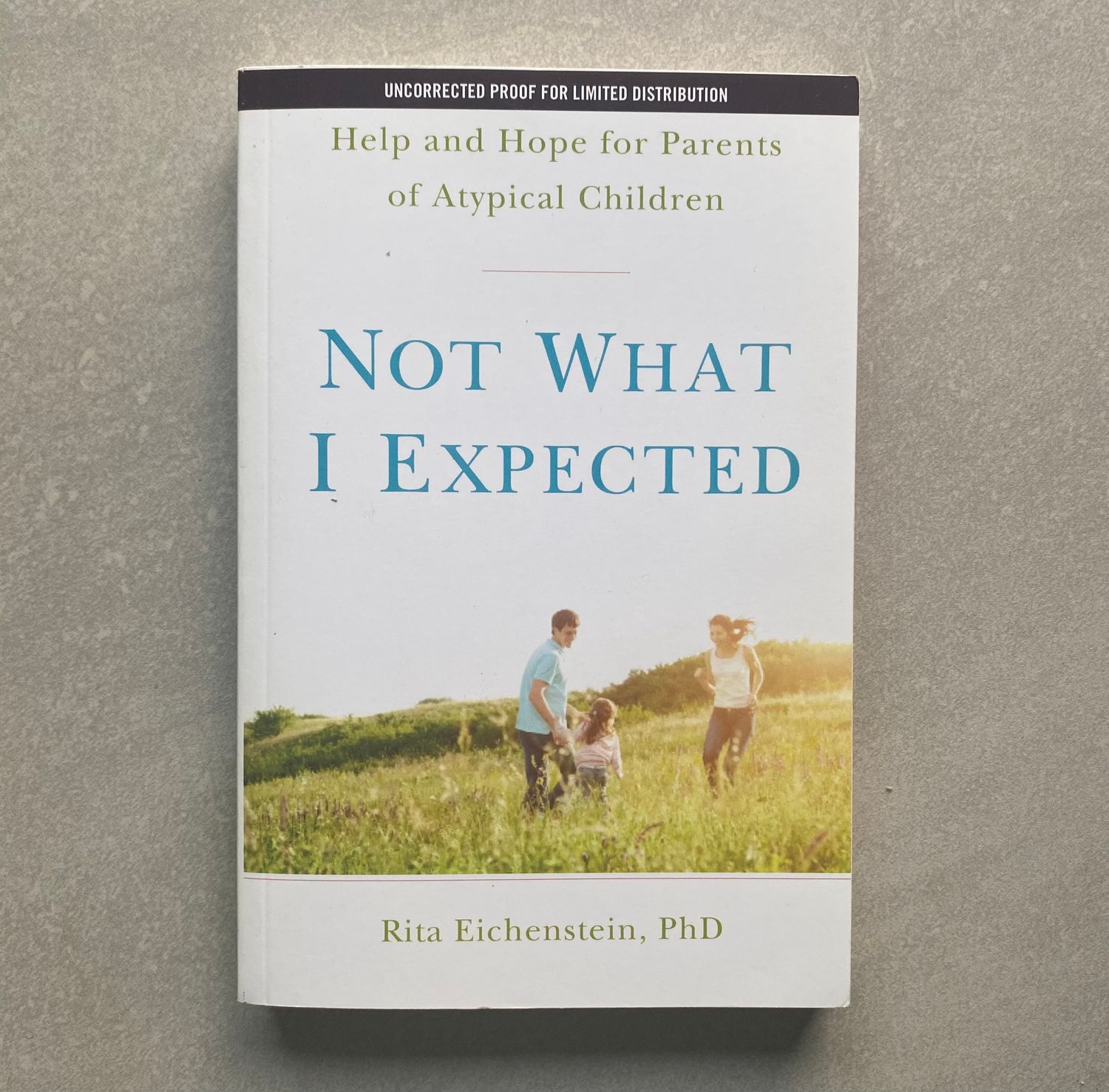Not What I Expected: Help and Hope for Parents of Atypical Children - Rita Eichenstein (Book)