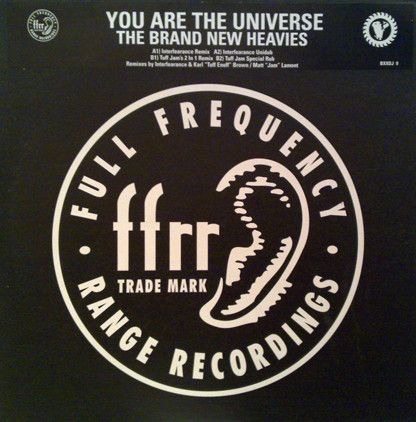 The Brand New Heavies – You Are The Universe (Vinyl, 12”, Promo)