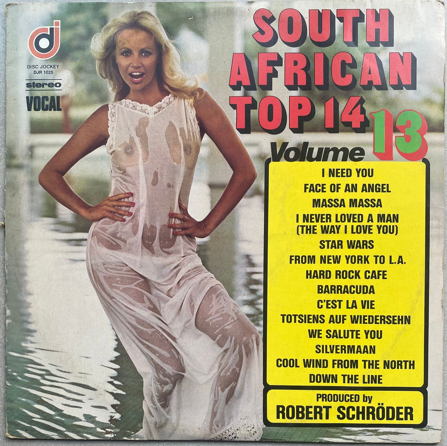 South African Top 14: Volume 13 - Various Artists (Vinyl)