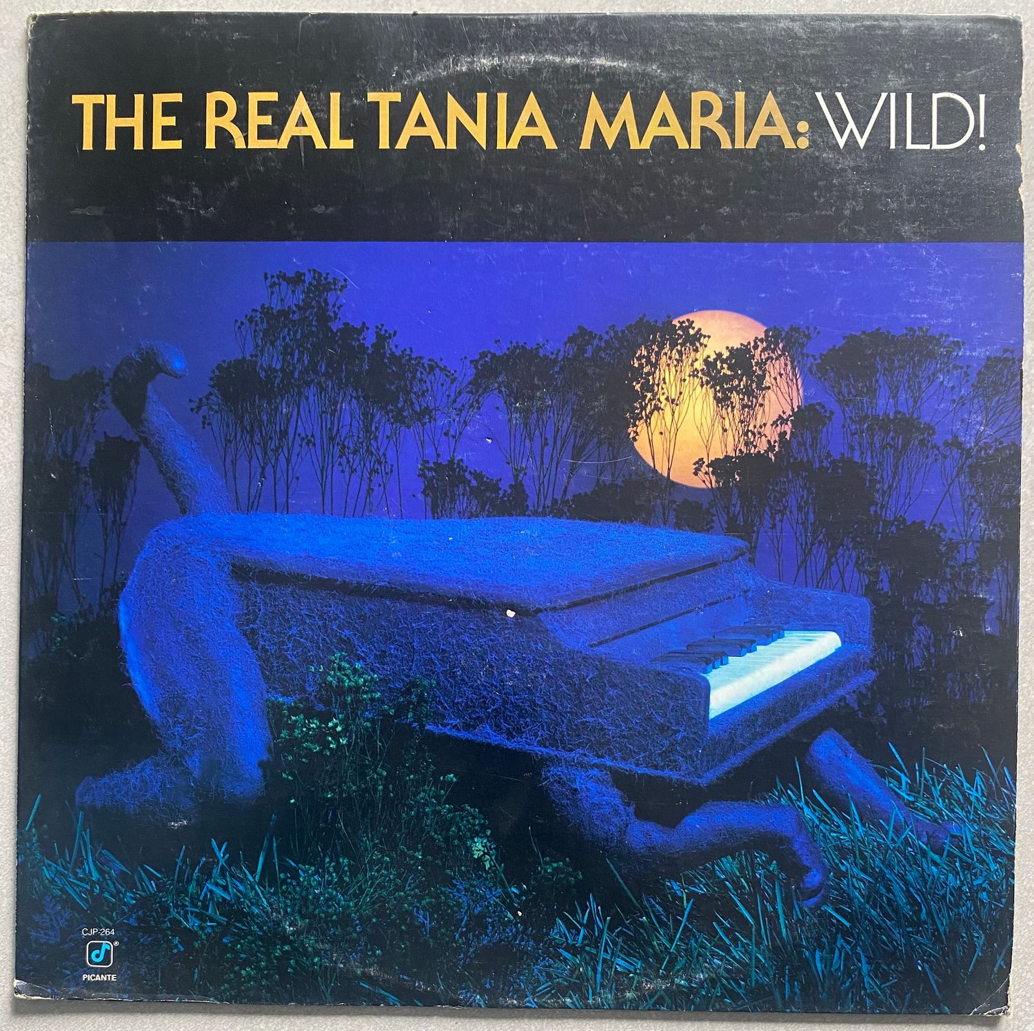 Tania Maria – The Real Tania Maria: Wild! (Vinyl)