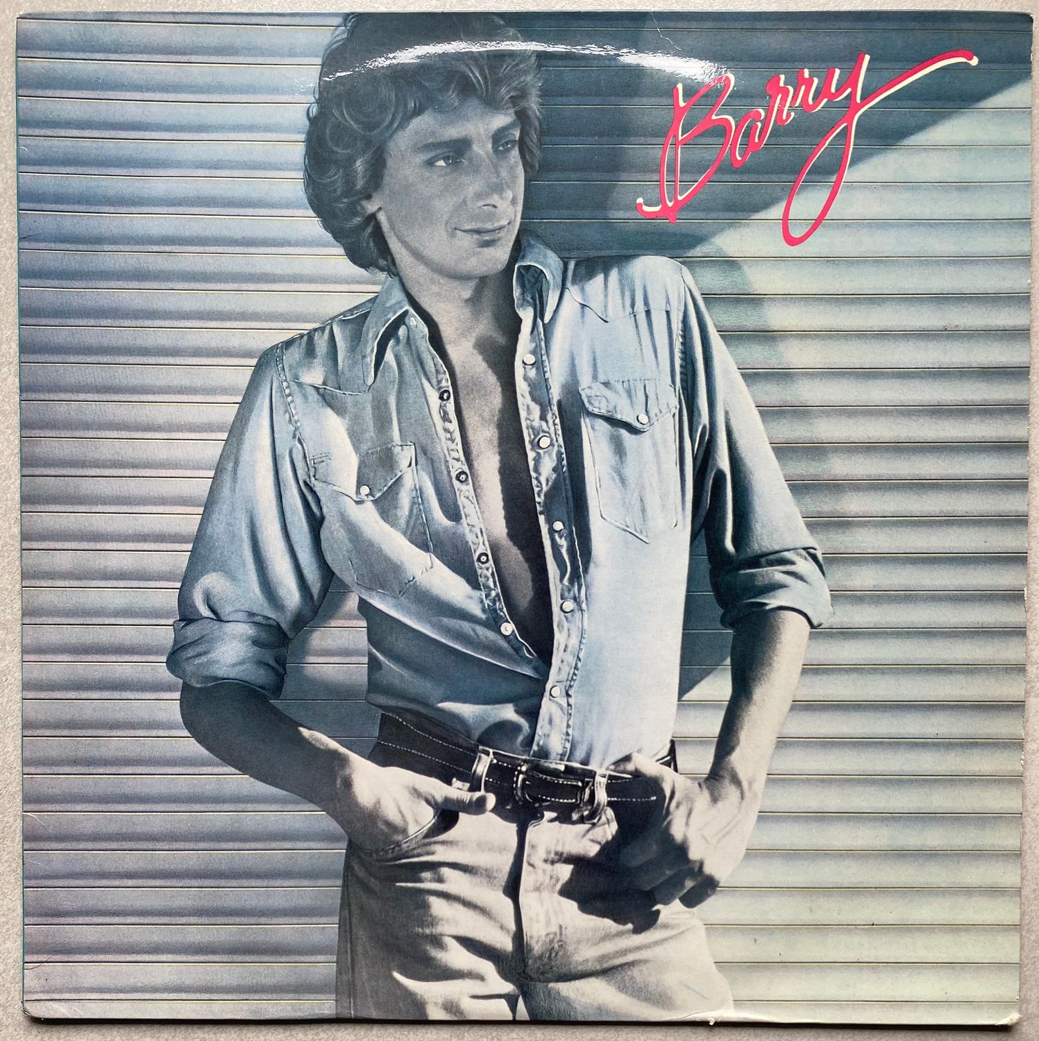 Barry Manilow – Barry (Vinyl, LP, Album)