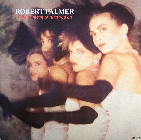 Robert Palmer – I Didn’t Mean To Turn You On (Vinyl, 12” Inch)