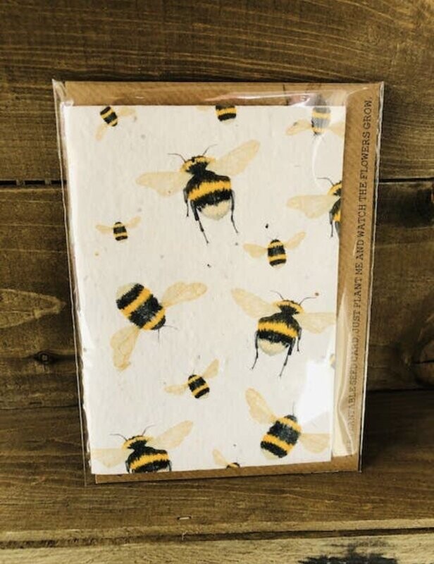 Eco-Friendly Plantable Cards