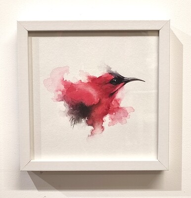 Sunbird