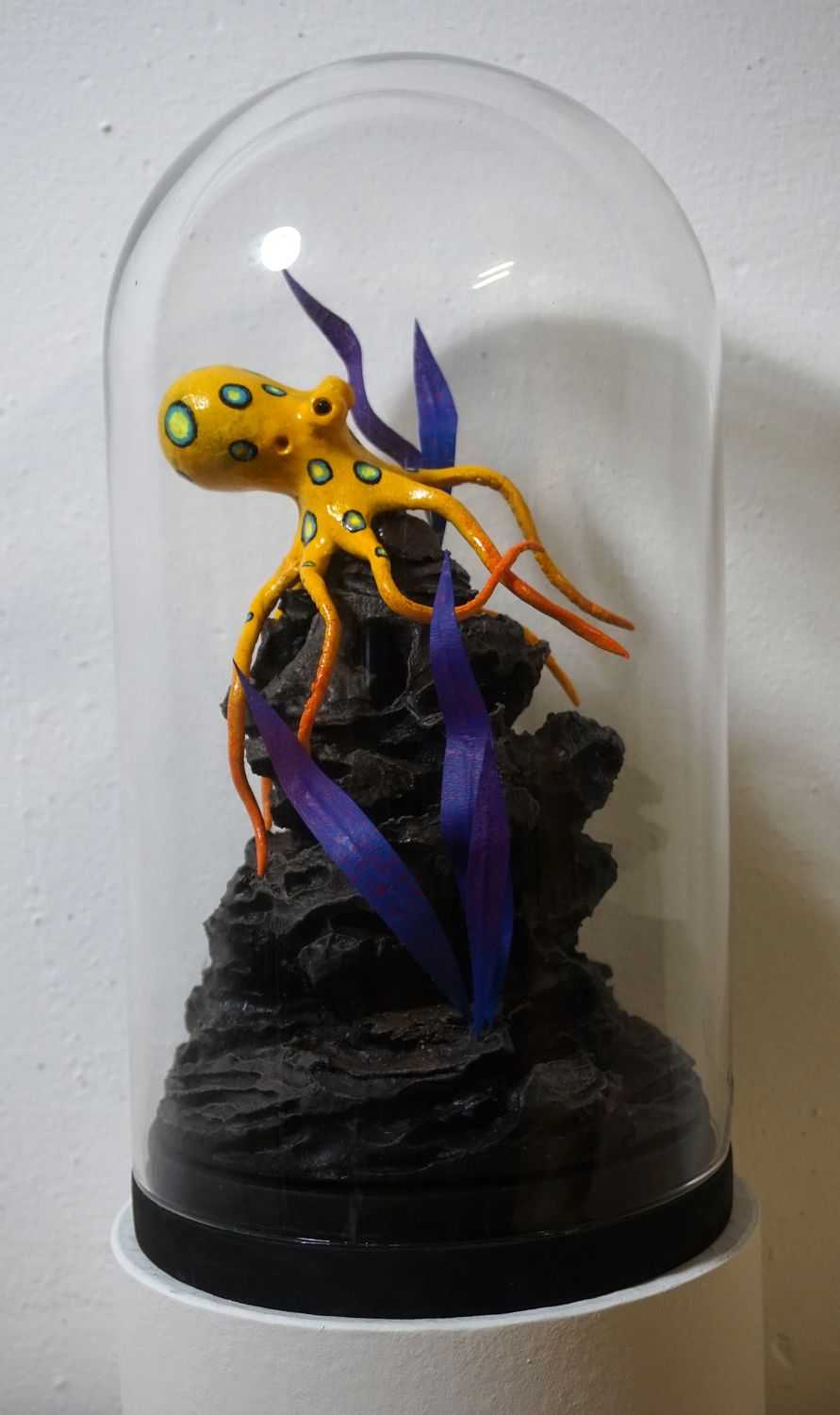 Poulpe à anneaux bleus