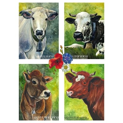 Cartes Vaches Françaises - 4 modèles au choix