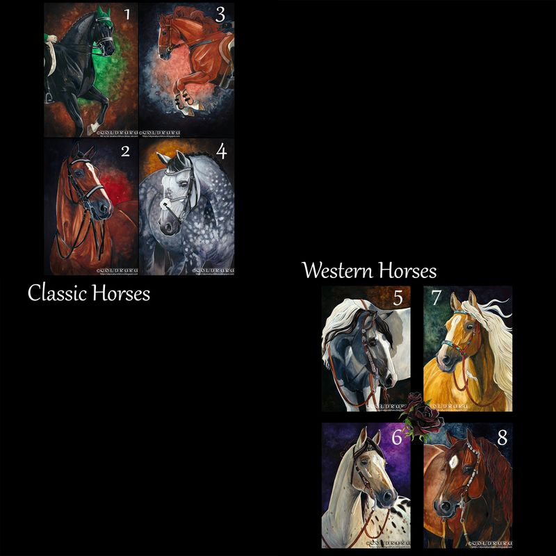 Classic + Western Horses (chevaux) - Postal Cards / Cartes Postales