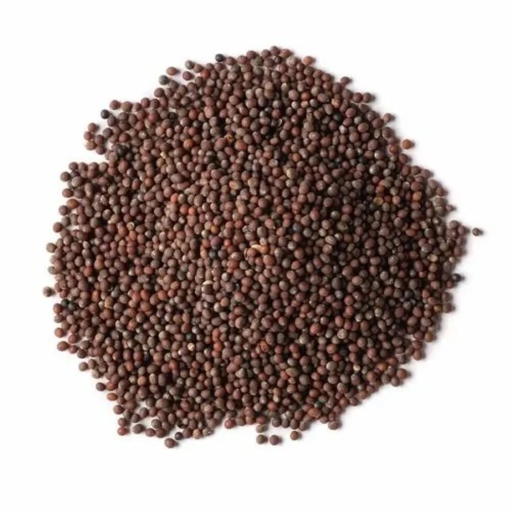 TRS Brown Mustard Seeds - 100 g