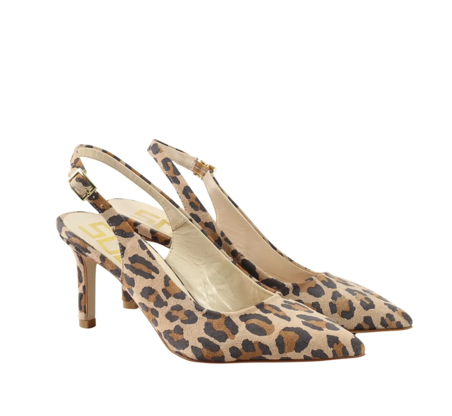 Helena animal Helena animal