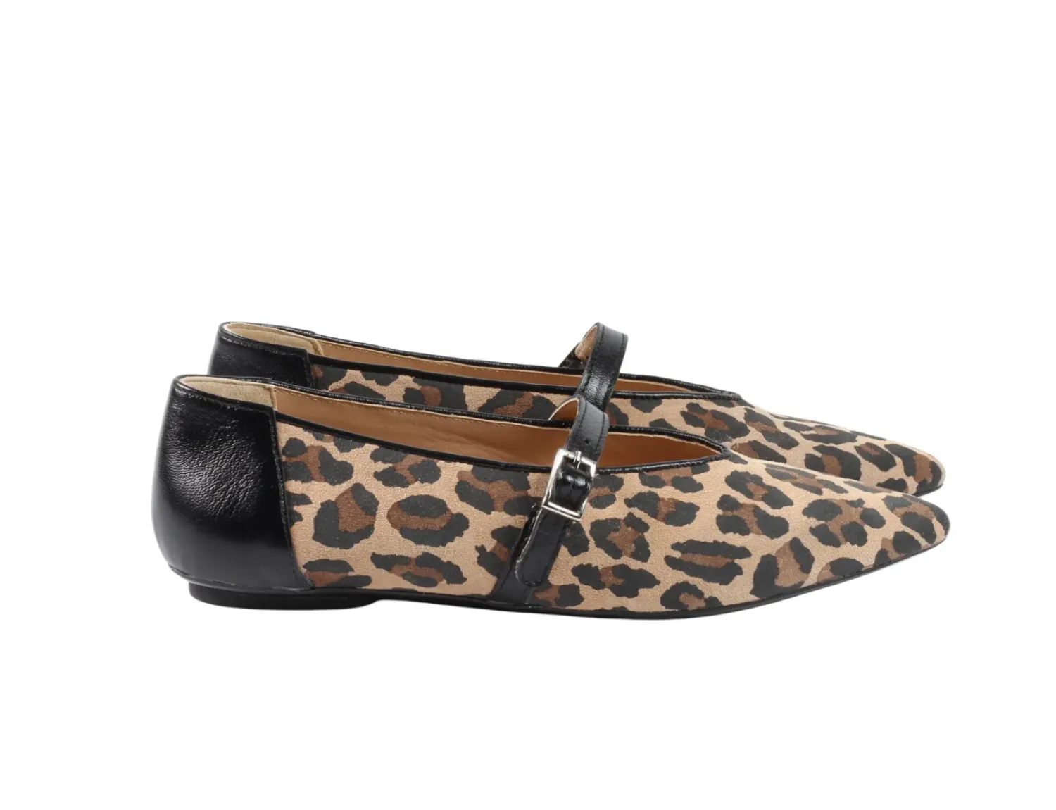 Livia Animal Livia Animal