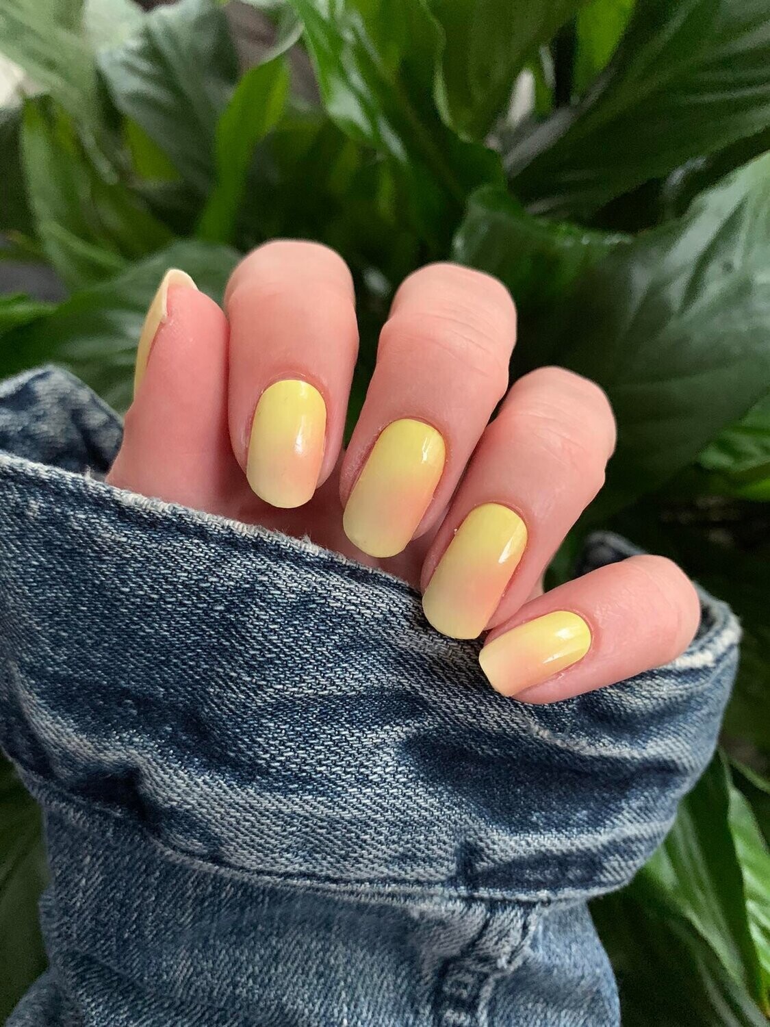 Cloudy Mango Sorbet, 16er-Nagelfolie Cloudy Mango Sorbet, 16er-Nagelfolie