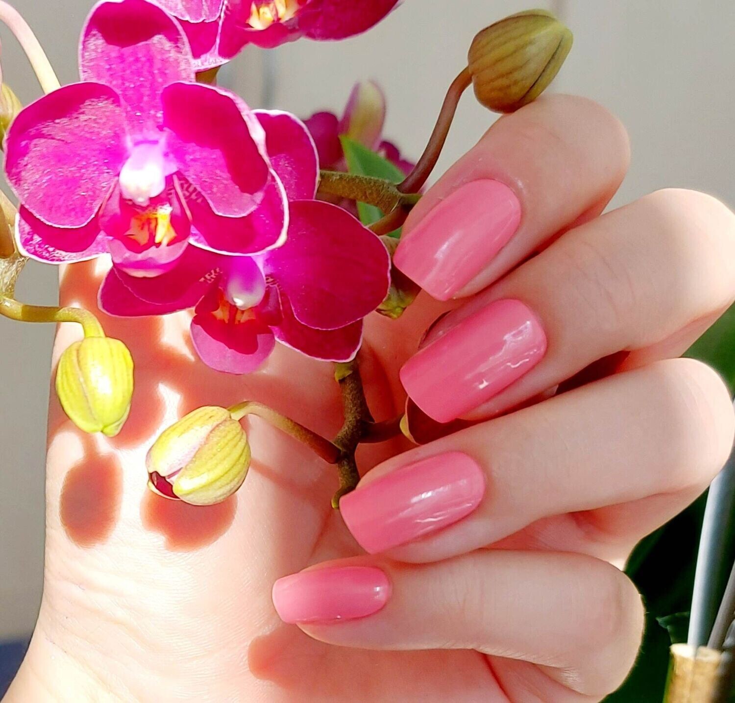 Paradise Pink, UV-Gel-Folie, 20er-Nagelfolie Magic Nail Wraps NG200062