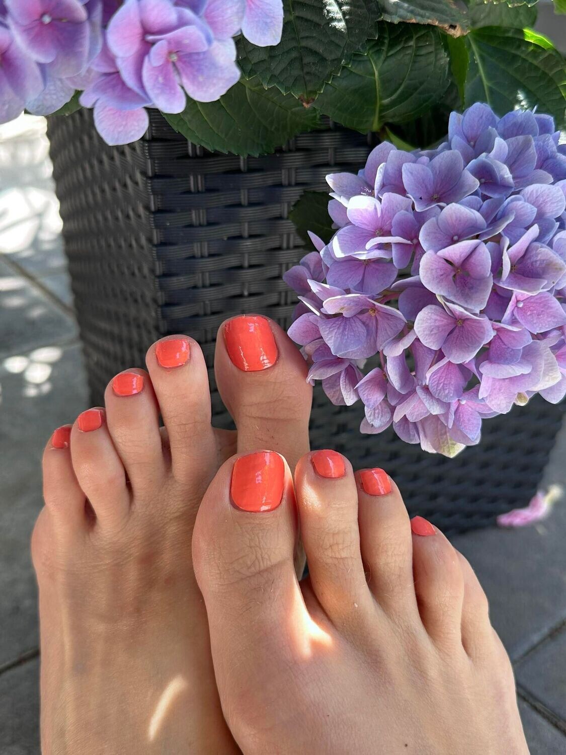 Summer Orange, 16er-Fussfolie