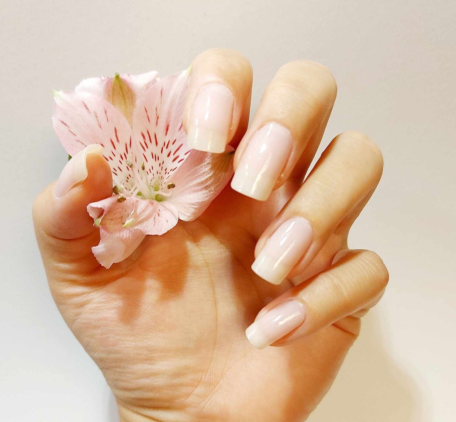 Touch of Nothing, milky-transparente UV-Gel-Folie , 20er-Nagelfolie Magic Nail Wraps NG200275