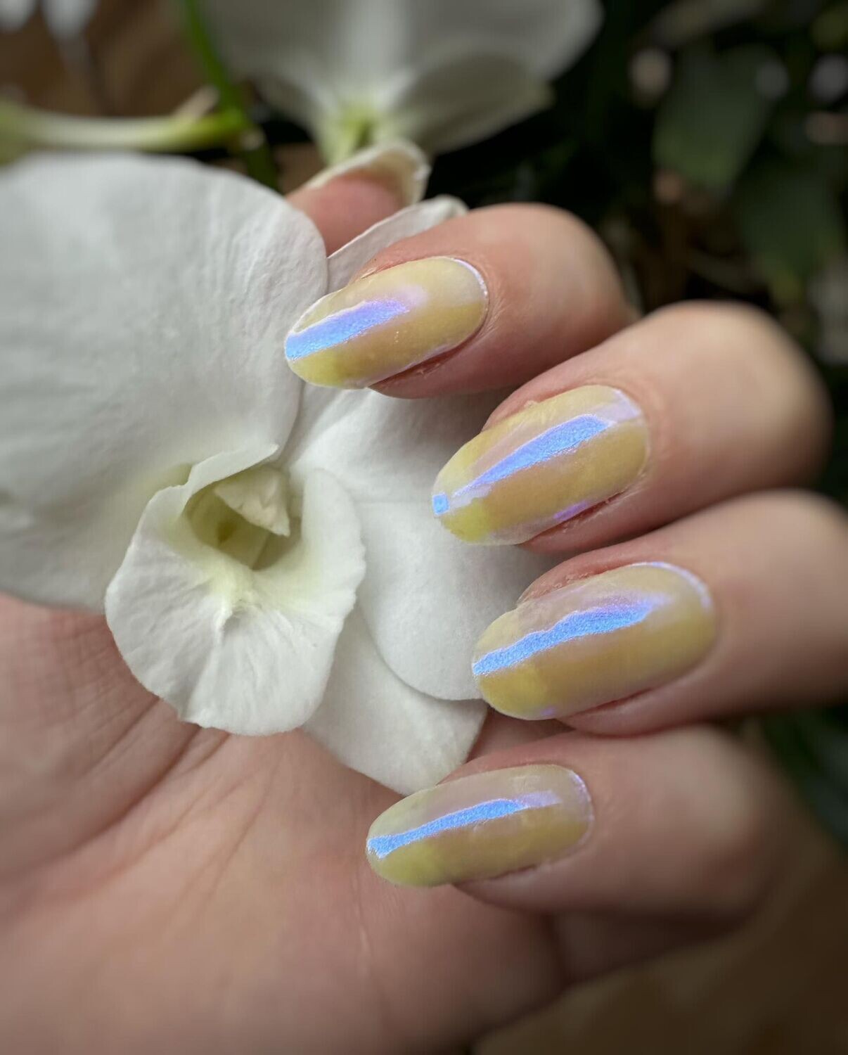 Fresh Glazed, sheer, UV-Gel-Folie, 20er-Nagelfolie Magic Nail Wraps NG200112