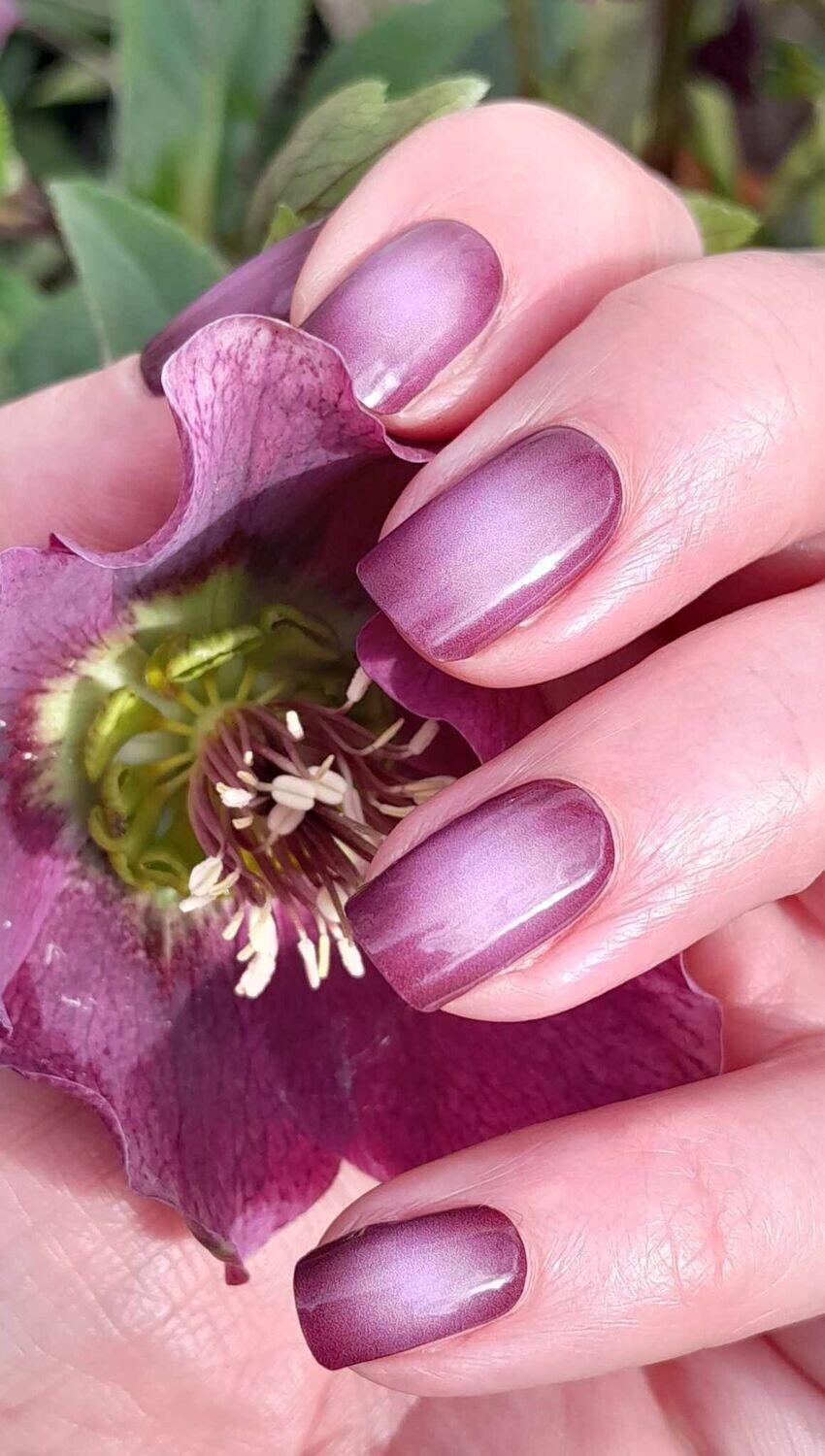 Viola,  UV-Gel-Folie, 20er-Nagelfolie Magic Nail Wraps NG200337