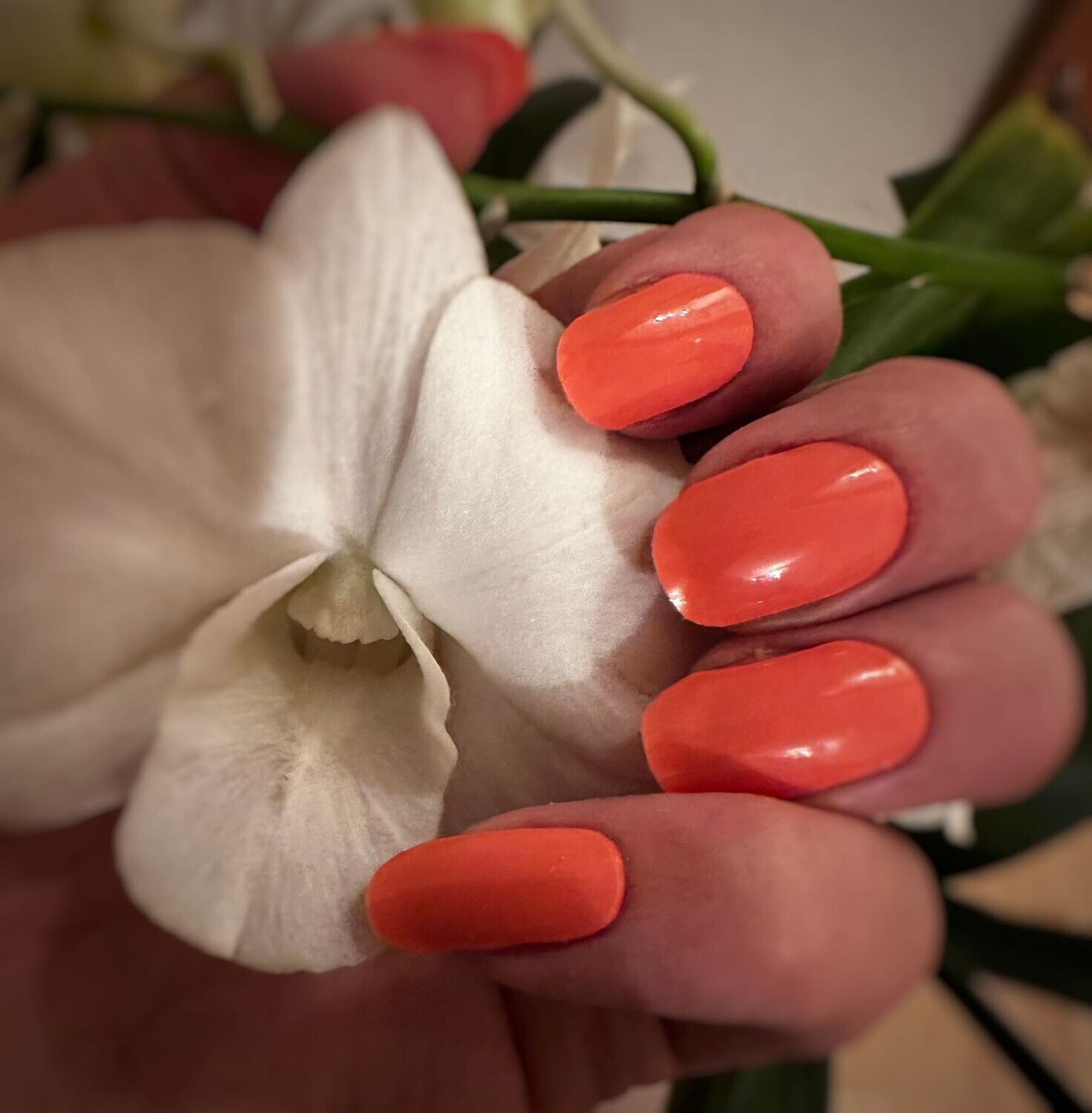 Venice Peach,  UV-Gel-Folie, 20er-Nagelfolie Magic Nail Wraps NG200314