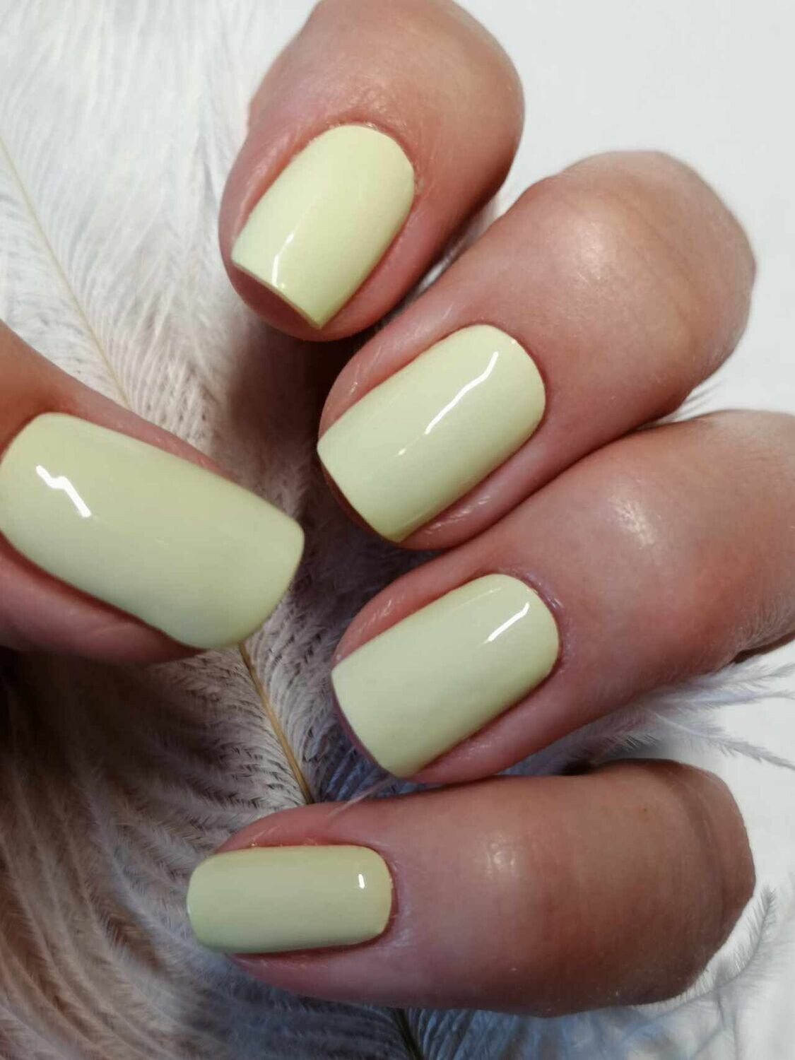 Limoncello, 16-er Nagelfolie