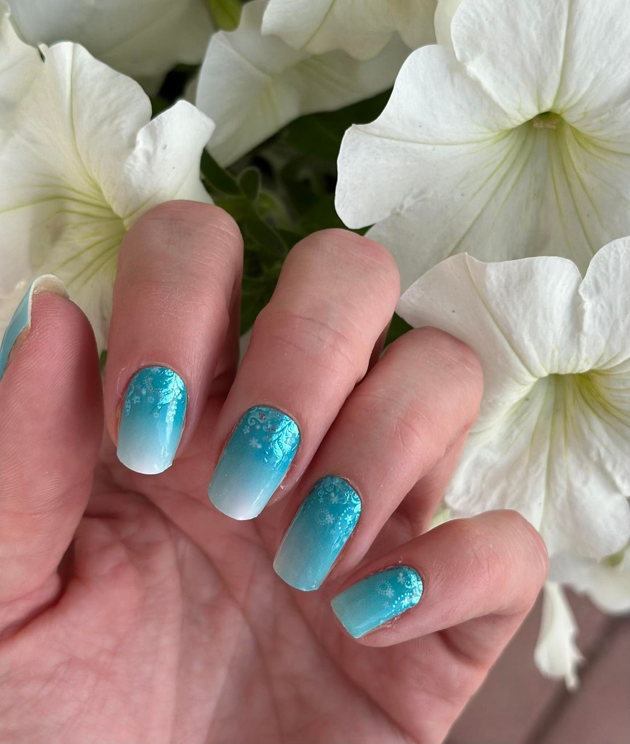 Agémina Frozen Turquoise, 16er-Nagelfolie Magic Nail Wraps Exklusivdesign
