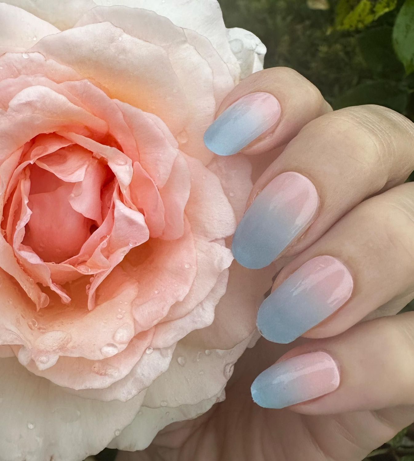 Madeleine, UV-Gel-Folie, 20er-Nagelfolie Magic Nail Wraps NG200119