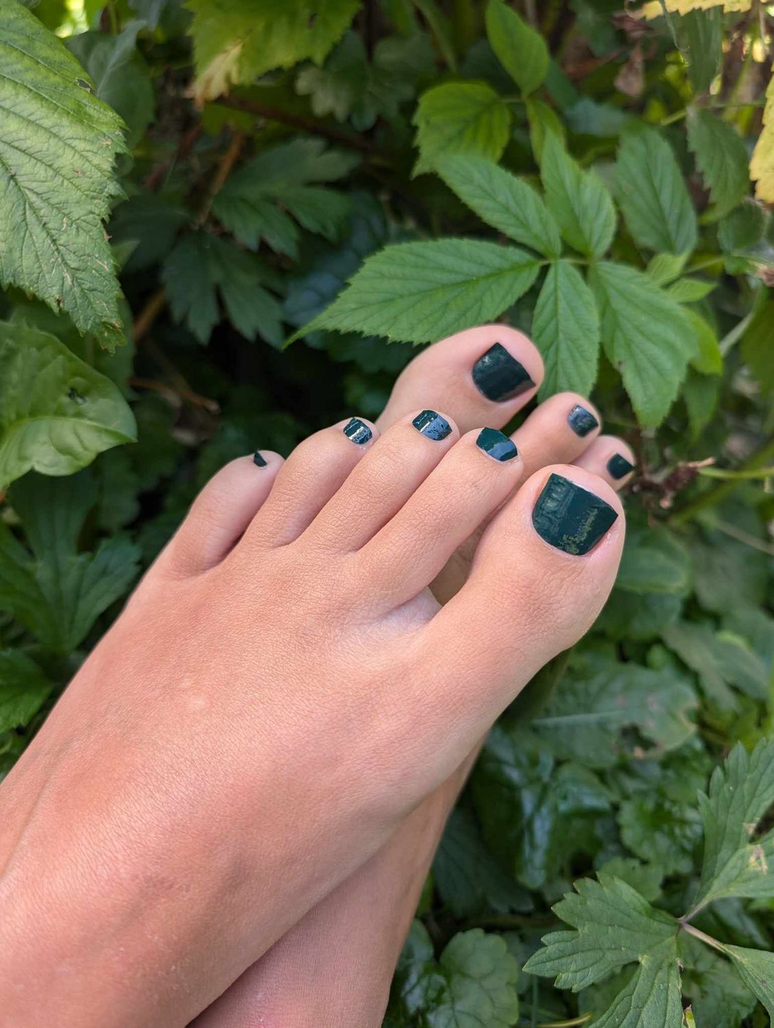 Sea Moss, 16er-Fussfolie Sea Moss, 16er-Fussfolie