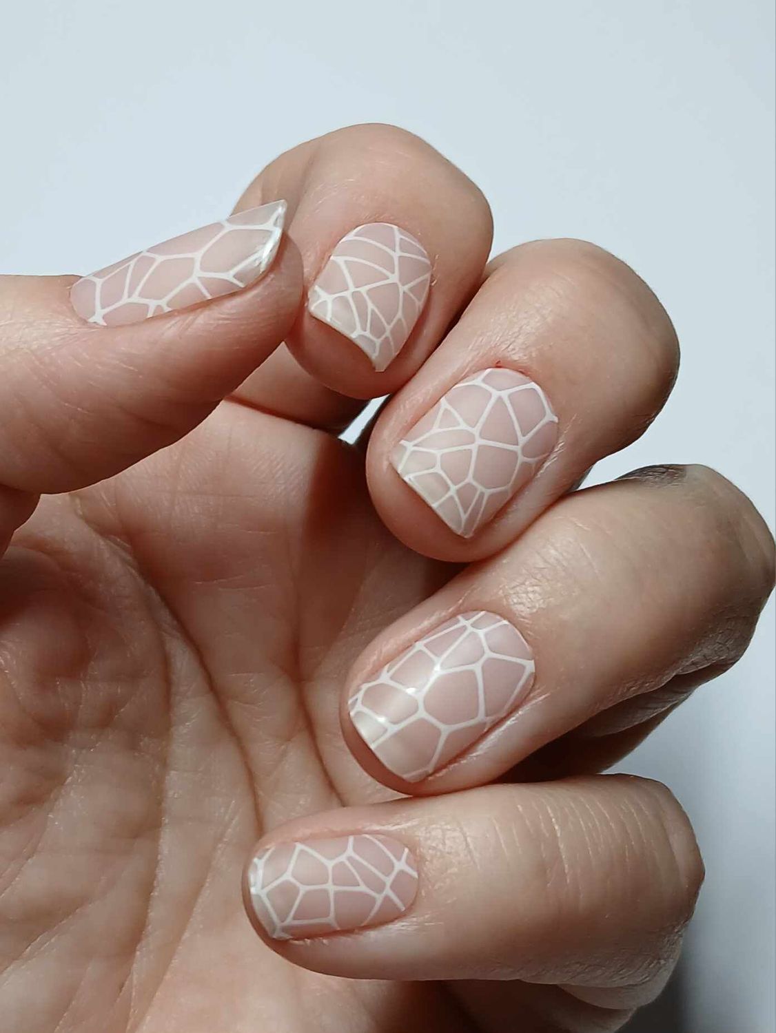 Inside Out, matt, glänzend gemusterte UV-Gel-Folie, 20er-Nagelfolie Magic Nail Wraps, NG200513