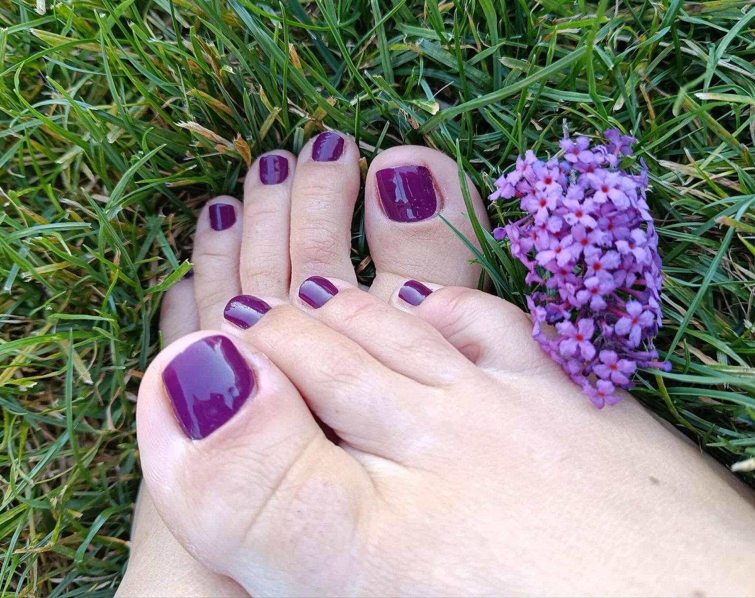 Hot Aubergine, 16er-Fussfolie Magic Nail Wraps