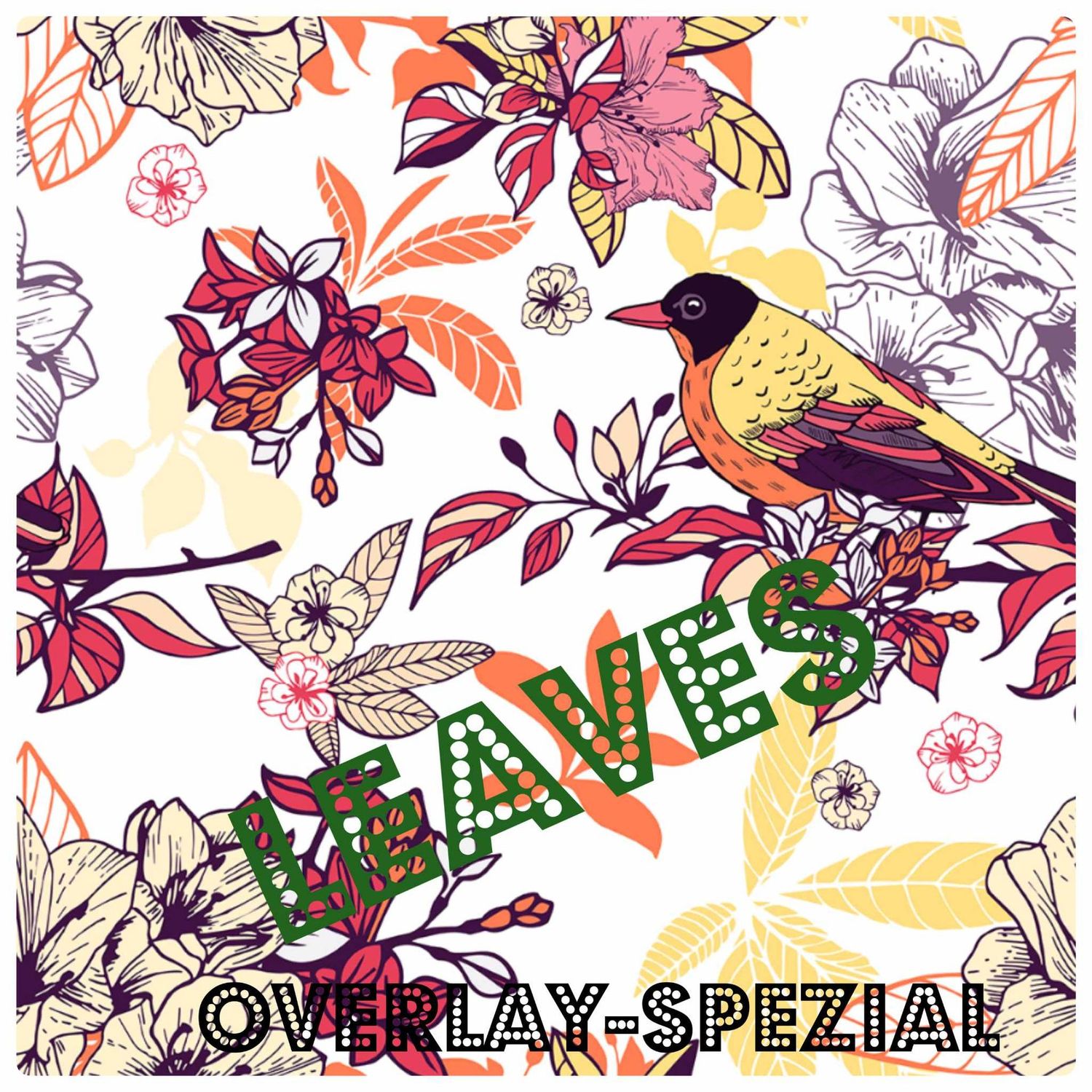 SUPERMAGIC Leaves Overlay-Spezial, Set mit 5 x transparenten 16er-Nagelfolien, Magic Nail Wraps Exklusivdesigns Nur für kurze Zeit erhältlich! SUPERMAGIC Leaves Overlay-Spezial, Set mit 5 x transparenten 16er-Nagelfolien, Magic Nail Wraps Exklusivdesigns Nur für kurze Zeit erhältlich!