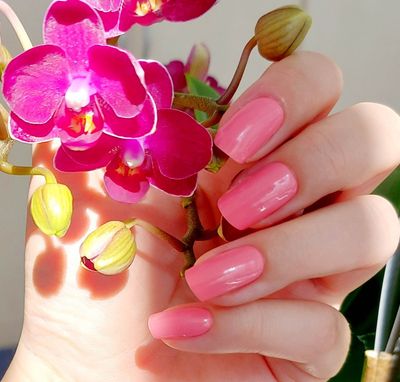 Paradise Pink, UV-Gel-Folie, 20er-Nagelfolie Magic Nail Wraps NG200062