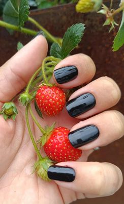 Only Black, UV-Gel-Folie, 30er-Nagelfolie, Magic Nail Wraps, NG300051