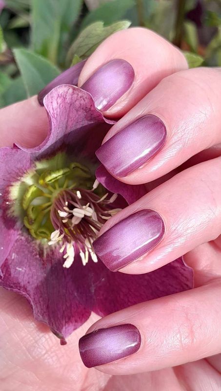 Viola,  UV-Gel-Folie, 20er-Nagelfolie Magic Nail Wraps NG200337